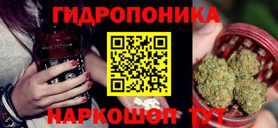 стафф Будённовск