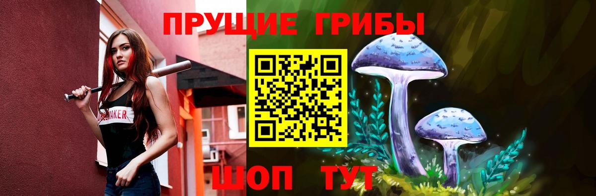 Ярцево  Псилоцибиновые грибы Cubensis  Вход с VPN 